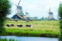 Zaanse-Schans 205